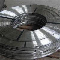 Metallic Strip for SWG Outer and Inner Ring